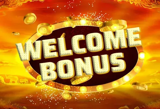 Dachbet casino Willkommensbonus